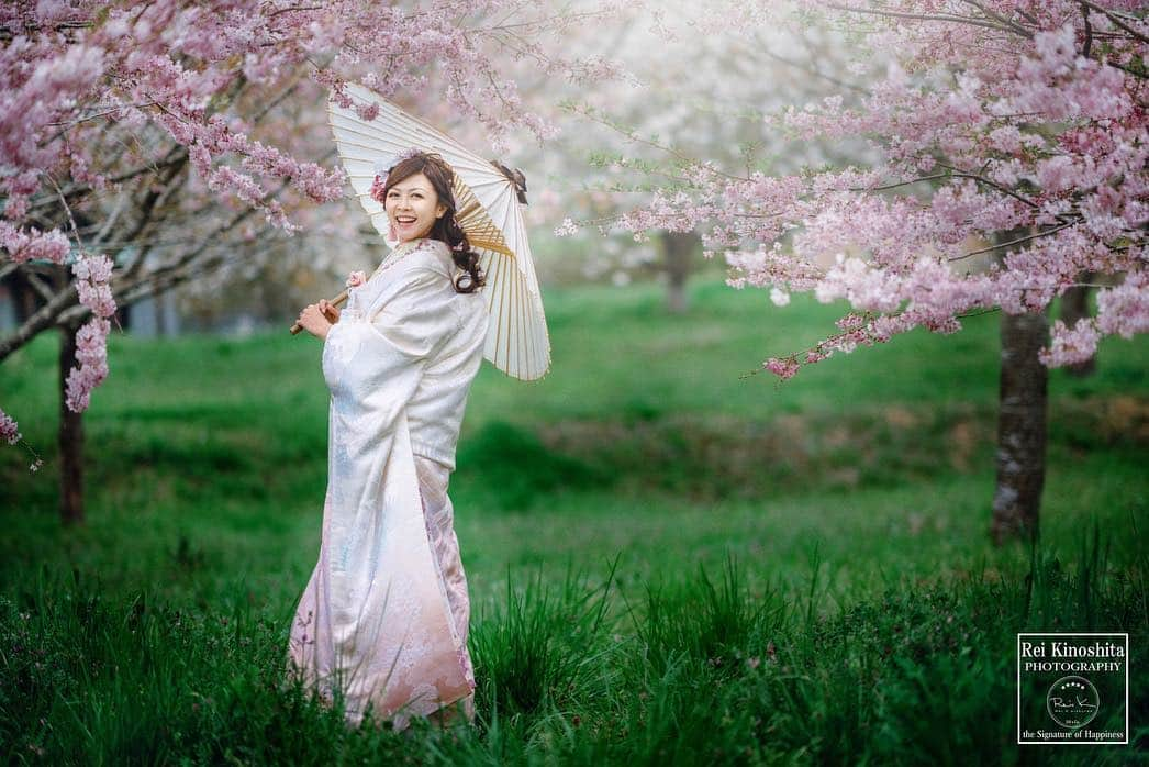 Decollte Wedding Photographyさんのインスタグラム写真 - (Decollte Wedding PhotographyInstagram)「[ Mt. Fuji 富士山 ] Cherry Blossom🌸﻿ Photo by Rei Kinoshita ﻿ ﻿ @rei_kinoshita_tvb﻿ @decollte_weddingphoto  @decollte_weddingstyle﻿ @studioaqua.fuji ﻿ #overseasprewedding #japan #fuji #Tokyo #Osaka #Kyoto #weddingphotography  #prewedding #weddingdress #weddinginspiration #love #日本 #富士山 #浪漫 #婚紗攝影 #海外婚紗 #色打掛 #花嫁 #婚紗 #唯美 #日式 #웨딩 #웨딩사진」5月3日 11時34分 - d_weddingphoto_jp