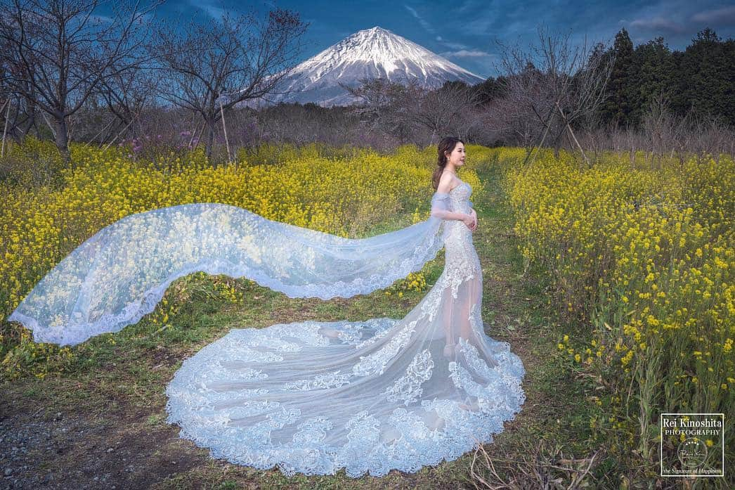 Decollte Wedding Photographyさんのインスタグラム写真 - (Decollte Wedding PhotographyInstagram)「[ Mt. Fuji 富士山 ] Cherry Blossom🌸﻿ Photo by Rei Kinoshita ﻿ ﻿ @rei_kinoshita_tvb﻿ @decollte_weddingphoto  @decollte_weddingstyle﻿ @studioaqua.fuji ﻿ #overseasprewedding #japan #fuji #Tokyo #Osaka #Kyoto #weddingphotography  #prewedding #weddingdress #weddinginspiration #love #日本 #富士山 #浪漫 #婚紗攝影 #海外婚紗 #色打掛 #花嫁 #婚紗 #唯美 #日式 #웨딩 #웨딩사진」5月3日 11時34分 - d_weddingphoto_jp