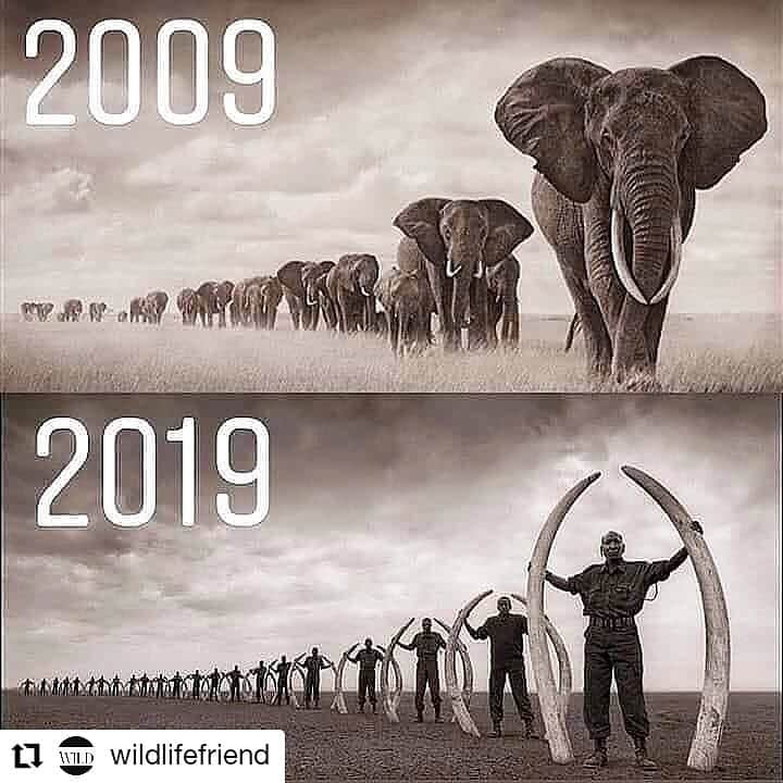 ガソリングラマーのインスタグラム