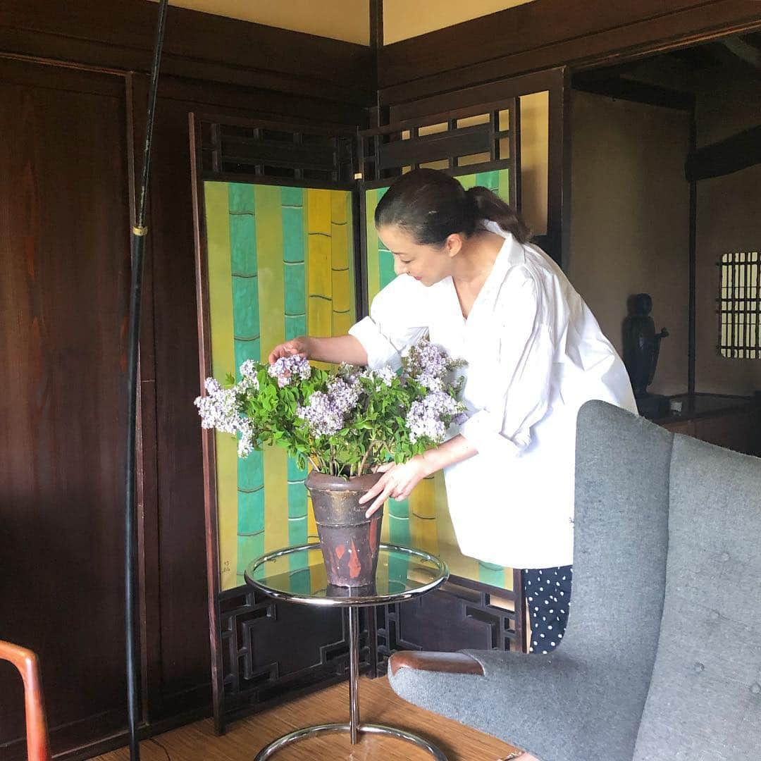 桐島かれんさんのインスタグラム写真 - (桐島かれんInstagram)「花屋にライラックの切り花がでていたので、はじめて生けてみました。 #ライラック」5月3日 11時35分 - houseoflotuskaren