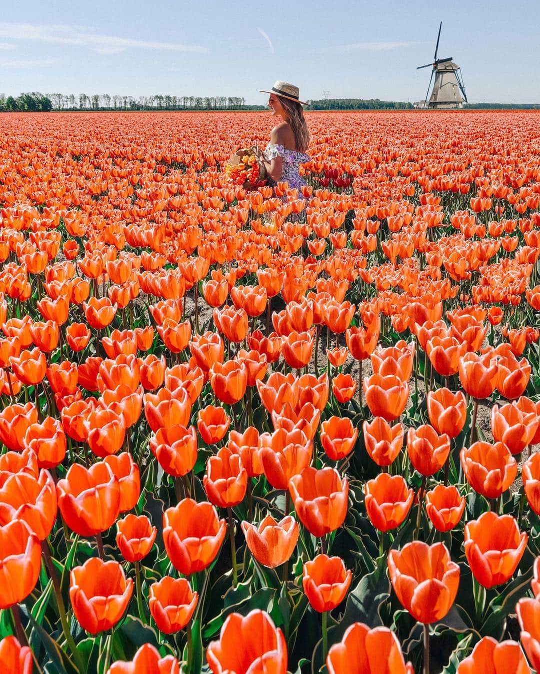Izkizのインスタグラム：「Lost in a sea of tulips 🌷 Oh Nederland, wat ben je mooi 😍 ❀ ❀ ❀  No tulips were harmed during the making of this photo, please always have permission before entering fields. ✌🏻」