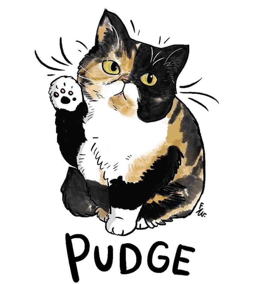 Pudgeのインスタグラム：「TORONTO! 🇨🇦 You can meet Pudge at @meowfestival on July 6th! Pudge’s birthday is July 5th, so come give her a little birthday pet on the head 💜 Proceeds benefit @torontocatrescu – get your tickets at @meowfestival 🍰🍰🍰🍰🍰」