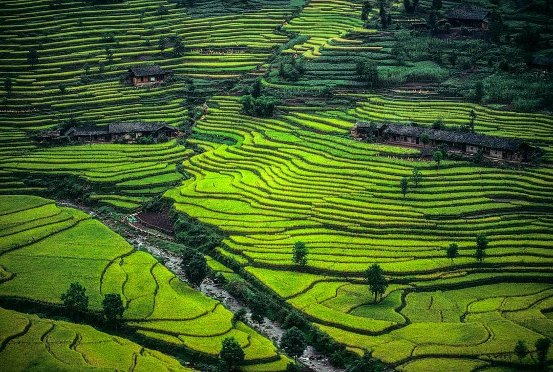 Michael Yamashitaさんのインスタグラム写真 - (Michael YamashitaInstagram)「Green Guizhou: It won’t be long before the terraced rice fields in this southwestern province of China are a sea of green. #ricefields #ricepaddies #riceterraces #Guizhou」5月3日 4時18分 - yamashitaphoto