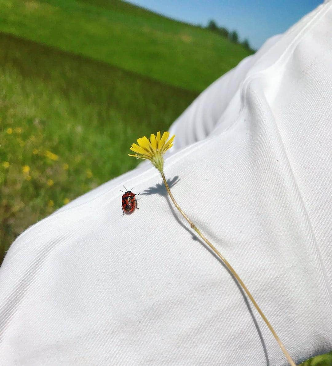 パク ・スジュさんのインスタグラム写真 - (パク ・スジュInstagram)「sick jacket bruhhh 🐞」5月3日 4時26分 - soojoo