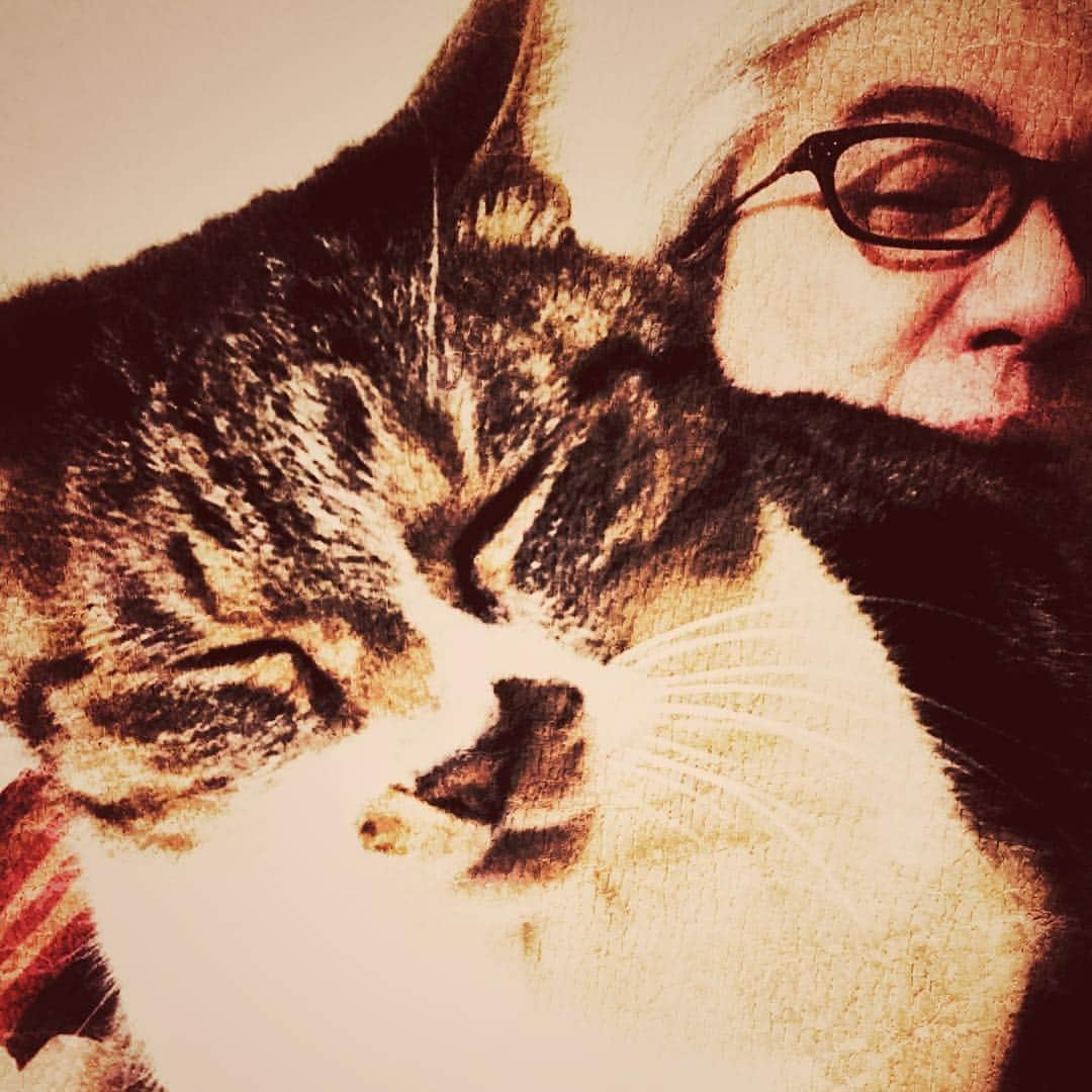イマイアキノブさんのインスタグラム写真 - (イマイアキノブInstagram)「ꔅ にわかには信じがたいことかもですが  猫が口笛を吹いたのです  #imaiakinobu  #イマイアキノブ」5月3日 5時45分 - imaiakinobu