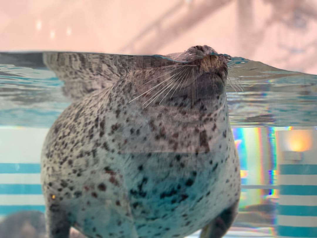 中川可菜のグルメインスタ