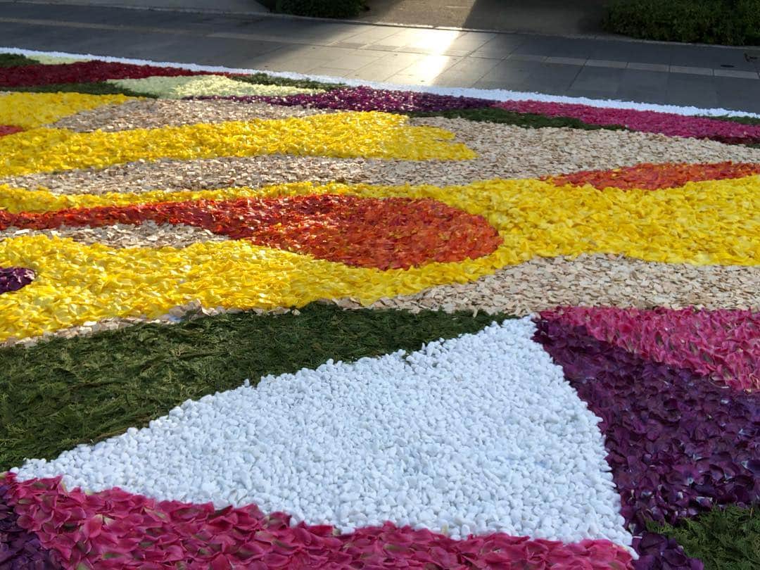 タテタカコさんのインスタグラム写真 - (タテタカコInstagram)「一晩明けた善光寺の通りに、昨日皆さんが花びらで作っておられた花回廊と朝日が広がっていました。」5月3日 6時29分 - tatetakako