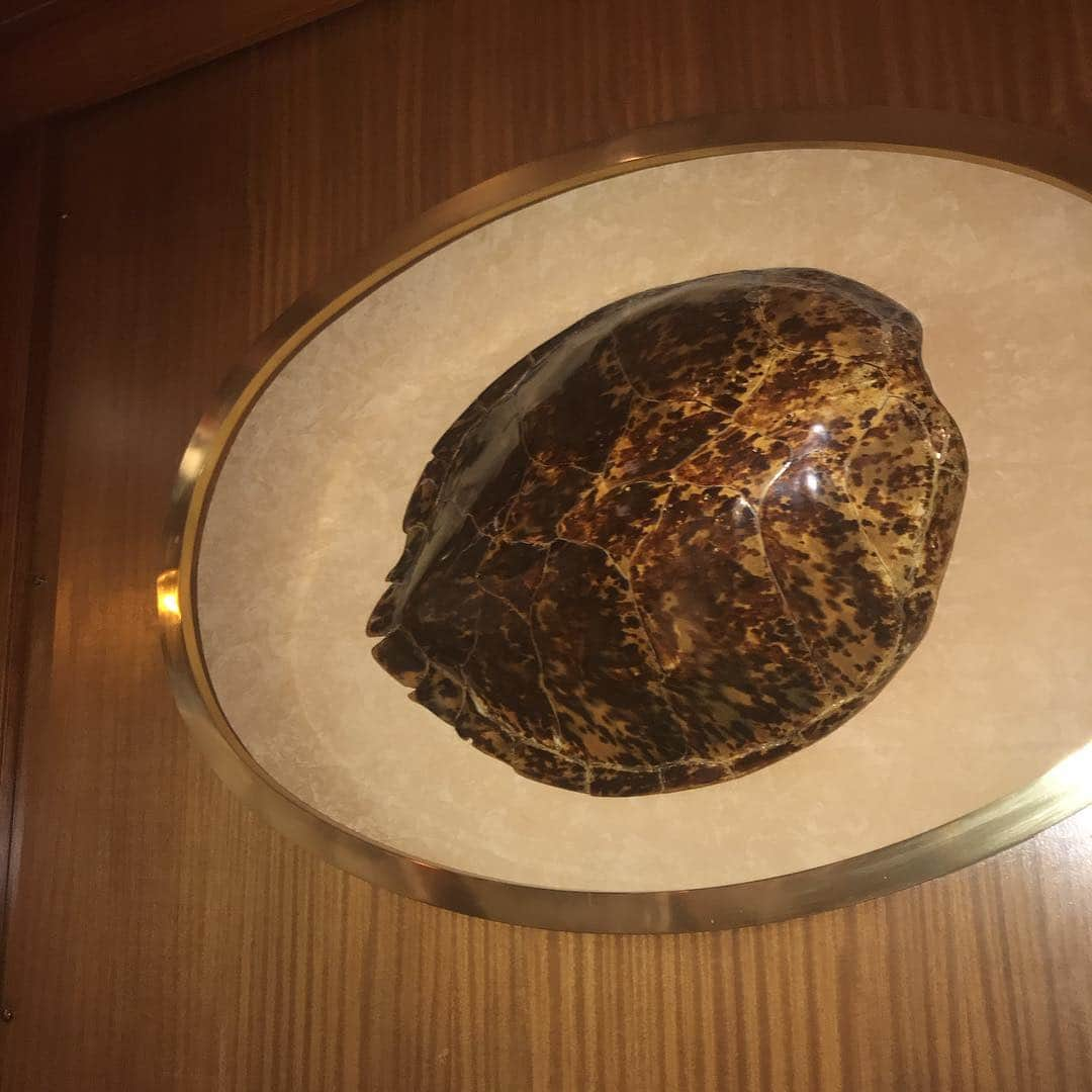 オリヴィエ・ザームさんのインスタグラム写真 - (オリヴィエ・ザームInstagram)「THE DUC. Steal a beautiful 1967 place but the food (fish) is slowly declining. Oz」5月3日 7時28分 - ozpurple