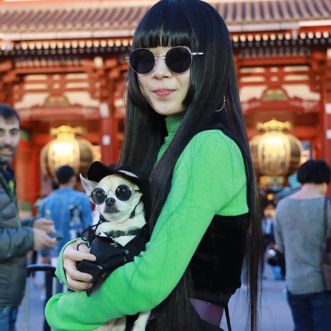 紋次郎さんのインスタグラム写真 - (紋次郎Instagram)「Japanese ladies with montjiro 令和も美女と一緒 in Asakusa  美人さんとばかり撮ってるね！と、よく言われます。だって紋次郎が…😜 今日はお仕事。滋賀までガタンゴトン  #dog#dogstagram#instadog#chihuahua#barkbox#mydogiscutest#buzzfeed#dog_features#fluffypack#barkpack#dogsofinstaworld#dogsofinstagram#犬#チワワ#手作り#handmade#着物#fashion#紋次郎一家#チーム茶#ふわもこ部#igersjp#peco犬部#dogsofinstagram#dogfashion#excellent_dogs#asakusa」5月3日 7時58分 - montjiro