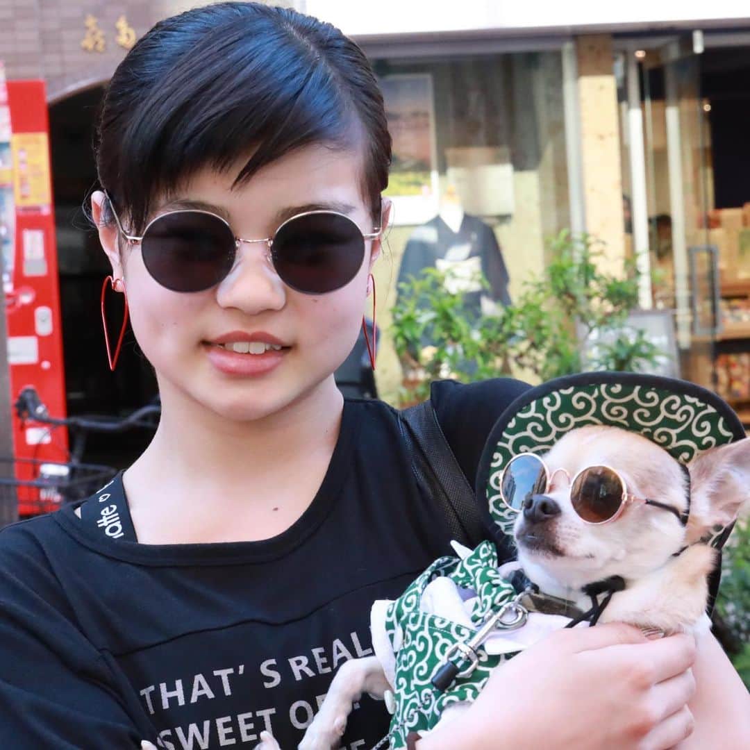 紋次郎さんのインスタグラム写真 - (紋次郎Instagram)「Japanese ladies with montjiro 令和も美女と一緒 in Asakusa  美人さんとばかり撮ってるね！と、よく言われます。だって紋次郎が…😜 今日はお仕事。滋賀までガタンゴトン  #dog#dogstagram#instadog#chihuahua#barkbox#mydogiscutest#buzzfeed#dog_features#fluffypack#barkpack#dogsofinstaworld#dogsofinstagram#犬#チワワ#手作り#handmade#着物#fashion#紋次郎一家#チーム茶#ふわもこ部#igersjp#peco犬部#dogsofinstagram#dogfashion#excellent_dogs#asakusa」5月3日 7時58分 - montjiro