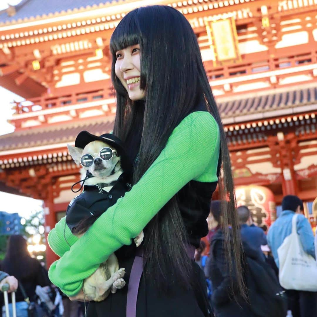 紋次郎さんのインスタグラム写真 - (紋次郎Instagram)「Japanese ladies with montjiro 令和も美女と一緒 in Asakusa  美人さんとばかり撮ってるね！と、よく言われます。だって紋次郎が…😜 今日はお仕事。滋賀までガタンゴトン  #dog#dogstagram#instadog#chihuahua#barkbox#mydogiscutest#buzzfeed#dog_features#fluffypack#barkpack#dogsofinstaworld#dogsofinstagram#犬#チワワ#手作り#handmade#着物#fashion#紋次郎一家#チーム茶#ふわもこ部#igersjp#peco犬部#dogsofinstagram#dogfashion#excellent_dogs#asakusa」5月3日 7時58分 - montjiro