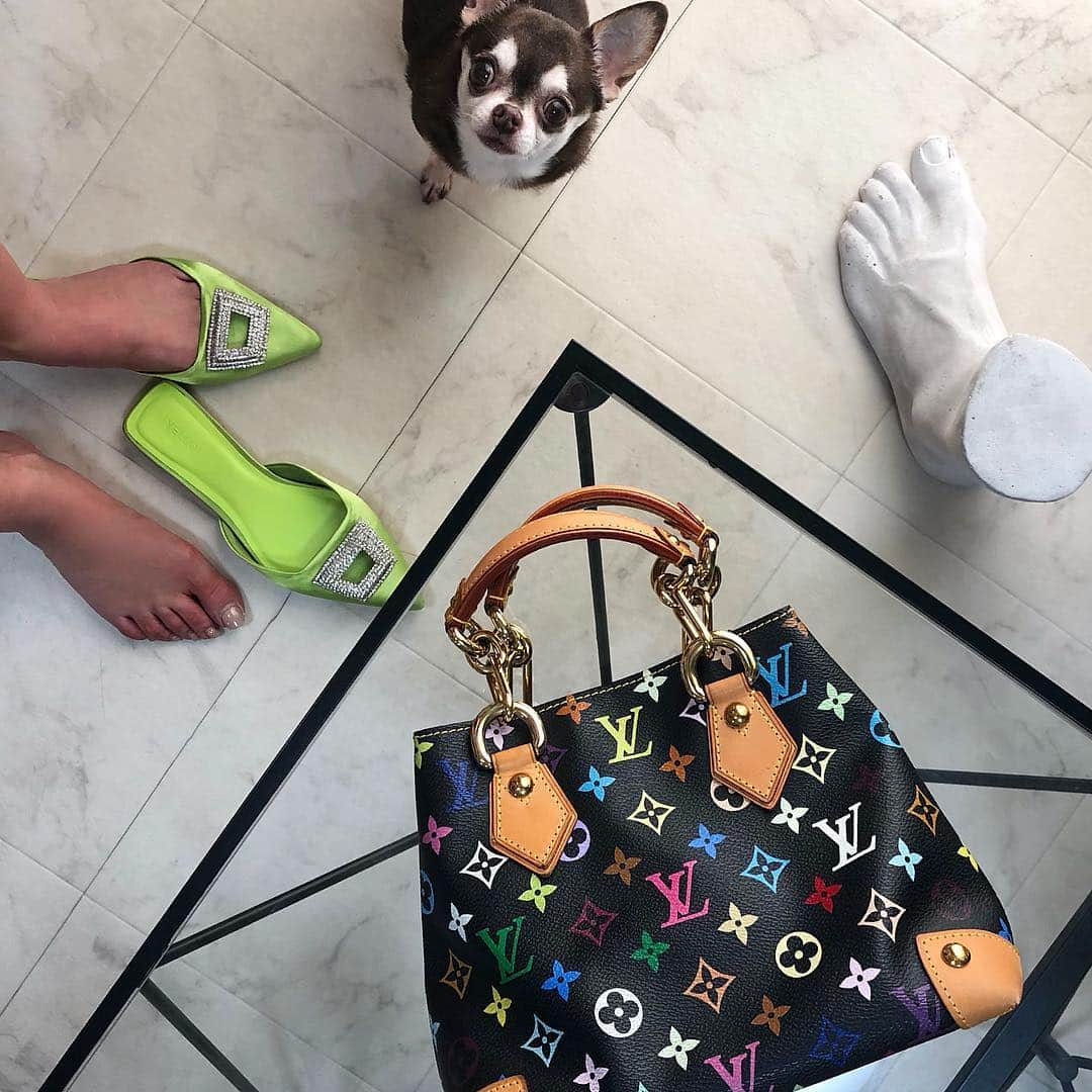 星あやさんのインスタグラム写真 - (星あやInstagram)「Hmmm what should I wear today?🤔🐶👣 #morningmeeting マルチのヴィンテージデッドストック💚🖤💗🧡💙💜 @louisvuitton #YELLO #yelloshoes」5月3日 7時53分 - ayastella_