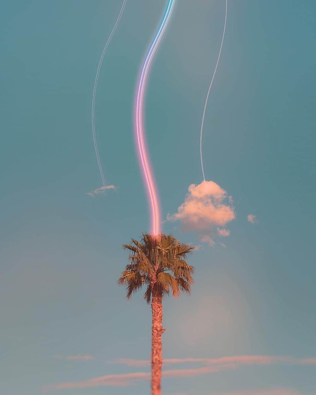 Instagramさんのインスタグラム写真 - (InstagramInstagram)「Struck by neon.️ ⚡️🌴 “I get a sense of peace when I look at it, along with the feeling of possibility in reaching my highest visions,” says artist Niko Christian (@cnikarts). “It’s about finding my own paradise.” #WHPgoingplaces Photo illustration by @cnikarts」5月3日 8時05分 - instagram