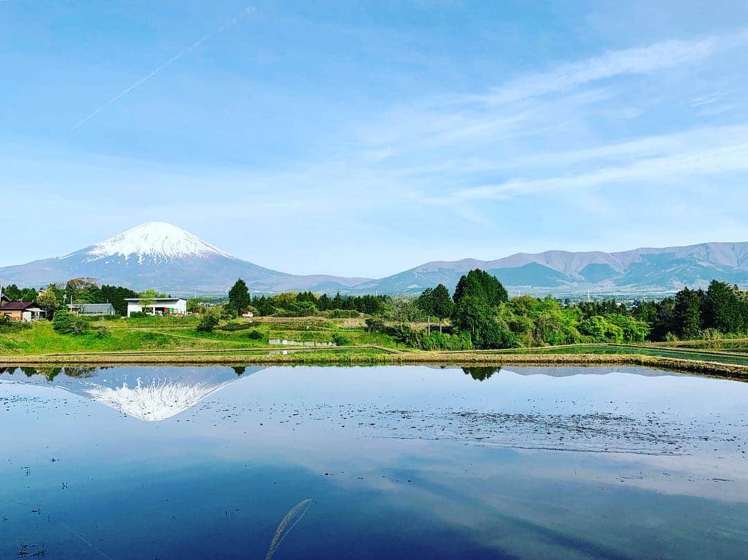 Saschaさんのインスタグラム写真 - (SaschaInstagram)「#富士山 #Mtfuji #mountfuji」5月3日 8時14分 - sascha348