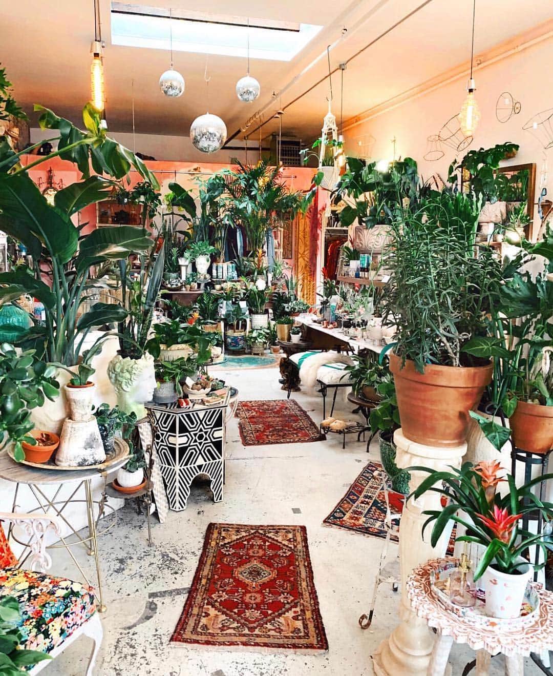 チェイサーのインスタグラム：「Crazy Plant Lady 🌿 via @viktoria.dahlberg #chaserbrand」