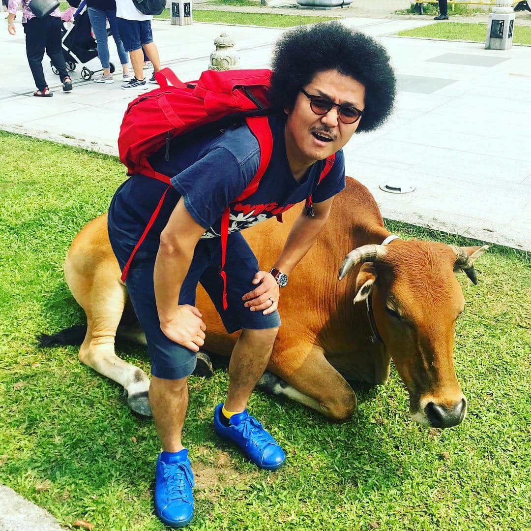 オカモト"MOBY"タクヤさんのインスタグラム写真 - (オカモト"MOBY"タクヤInstagram)「#天壇大佛 がある #ランタオ島 #ゴンピンビレッジ を散策。 #寶蓮禪寺 にお参りし、島に住み着く水牛と戯れる。 #アガる香港 #日本香港観光年」5月3日 8時30分 - moby_scoobiedo