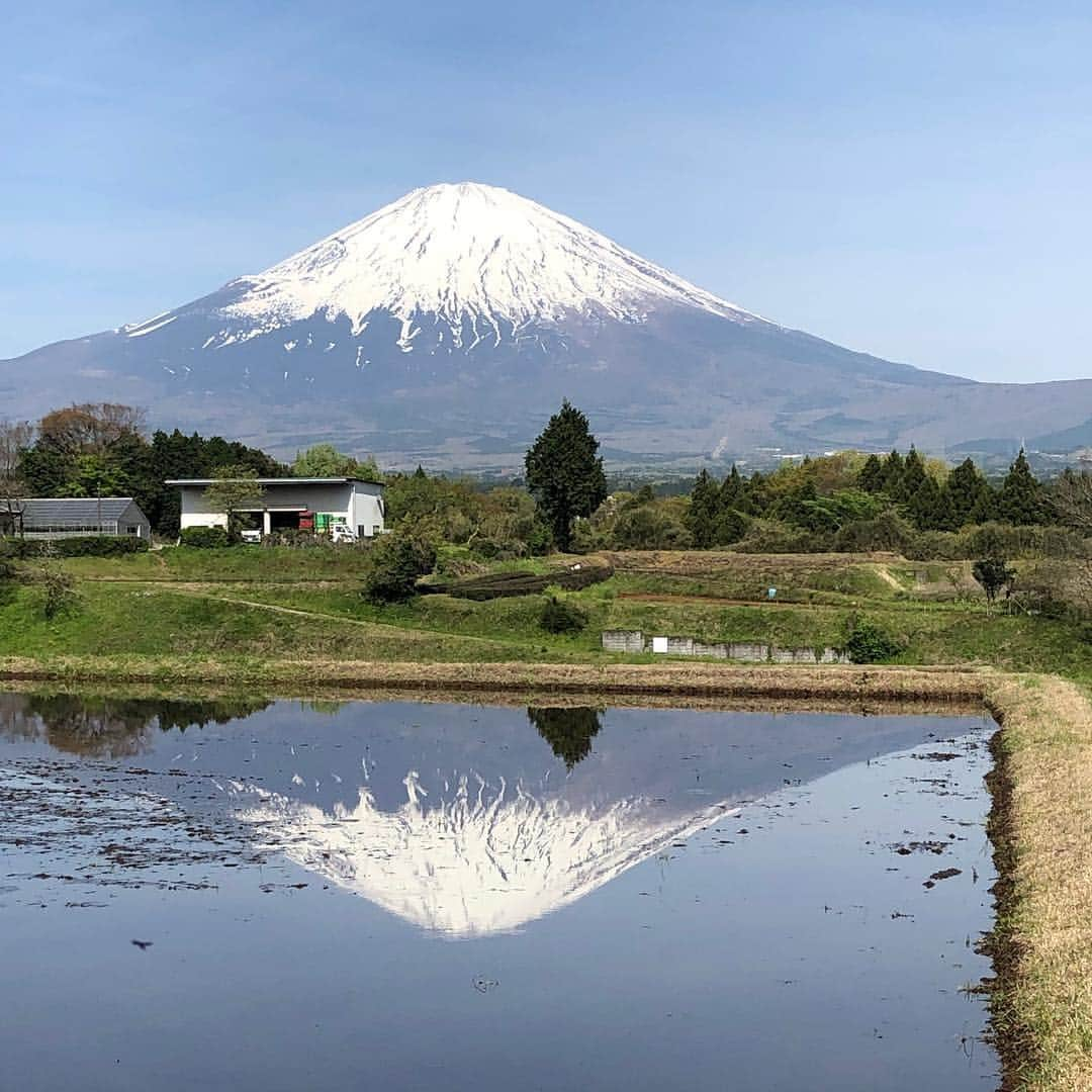 築地Azamiさんのインスタグラム写真 - (築地AzamiInstagram)「築地Azami】 ～築地駅より徒歩2分～ URLはこちら⇒(@tsukijiazami_official) ---------------------------- 令和 ゴールデンウィークも後半に入りやっと快晴になりました。営業は5/7より----------------------- #鍋 #築地azami #宴会 #お寿司 #豊洲市場 市場 #鮮魚 #foodstagram #築地 #東京 #貸切 #中央区 #instafood #飲み放題 #宴会 #隠れ家 #割烹 #焼酎 #sashimi #地酒 #酒 #貸切 #東銀座 #コース料理 #魚 #レストラン #和牛 #おばんざい #居酒屋 #小料理 #和食ごはん#富士山」5月3日 9時07分 - tsukijiazami_official