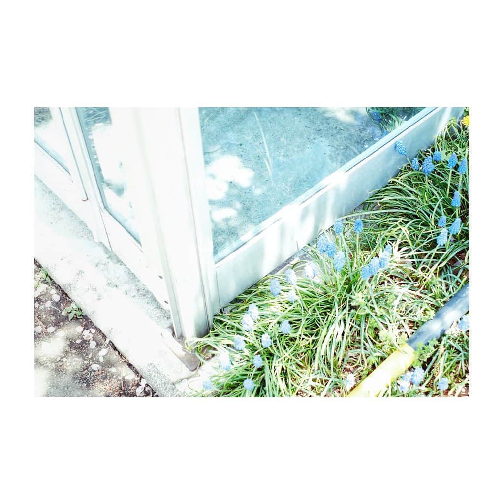 紗々のインスタグラム