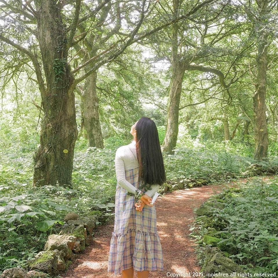 イニスフリー | 日本公式さんのインスタグラム写真 - (イニスフリー | 日本公式Instagram)「A refreshing walk with bija cica balm brings peace to my precious skin . ビジャの森で心地よいヒーリング💓 . #innisfree #innisfreejapan #イニスフリー #チェジュ島 #自然の恵み #スキンケア #韓国コスメ #ビジャ #カヤ #シカ #cica #ビジャシカバーム  #シカバーム #シカクリーム #シカケア #敏感肌 #乾燥肌 #クリーム #マデカソサイド #肌トラブル #お助けバーム」5月3日 9時03分 - innisfreejapan