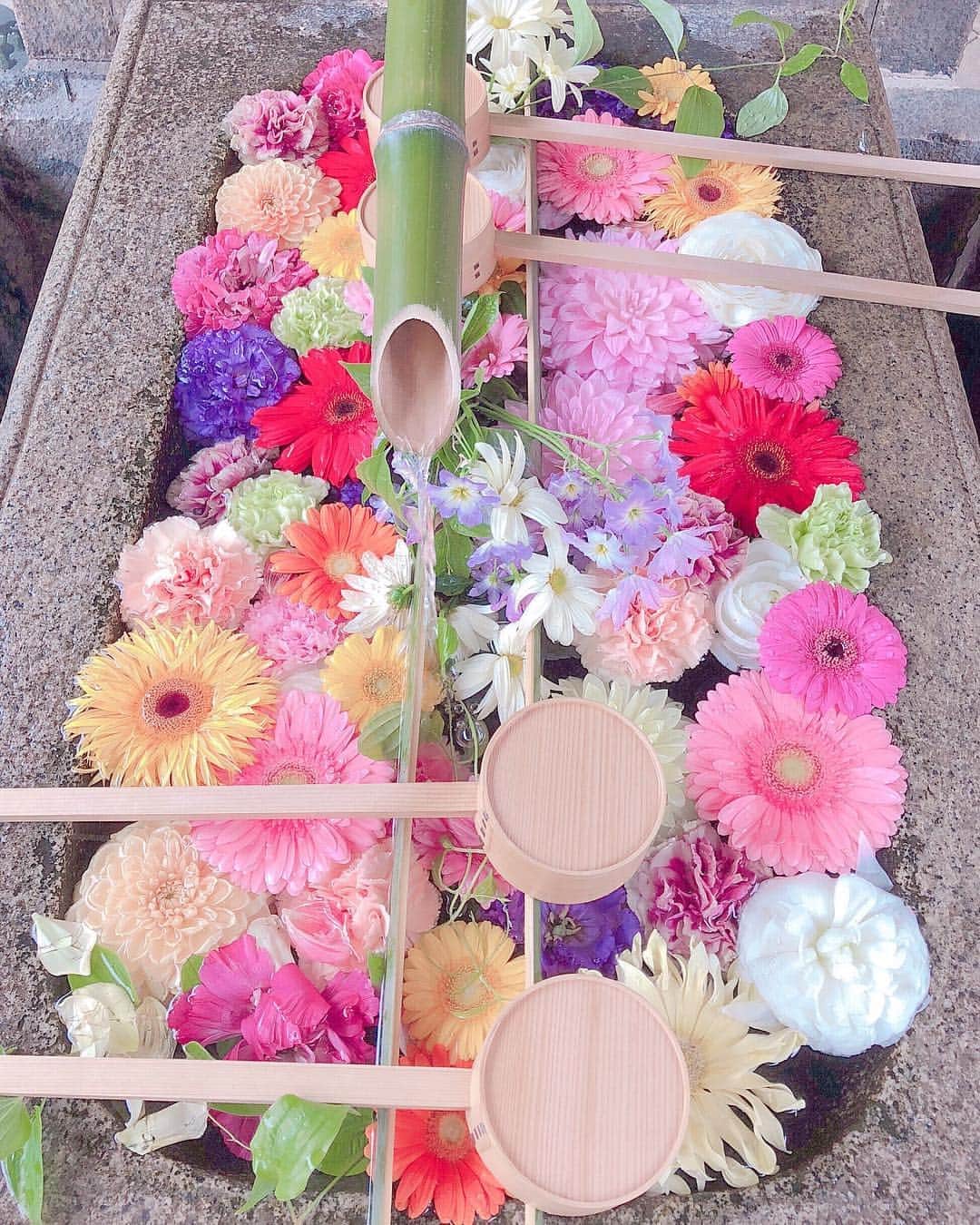 松岡里枝のグルメインスタ