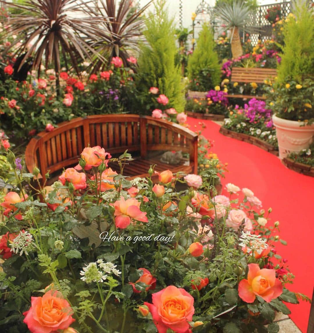 雑誌『花時間』のグルメインスタ