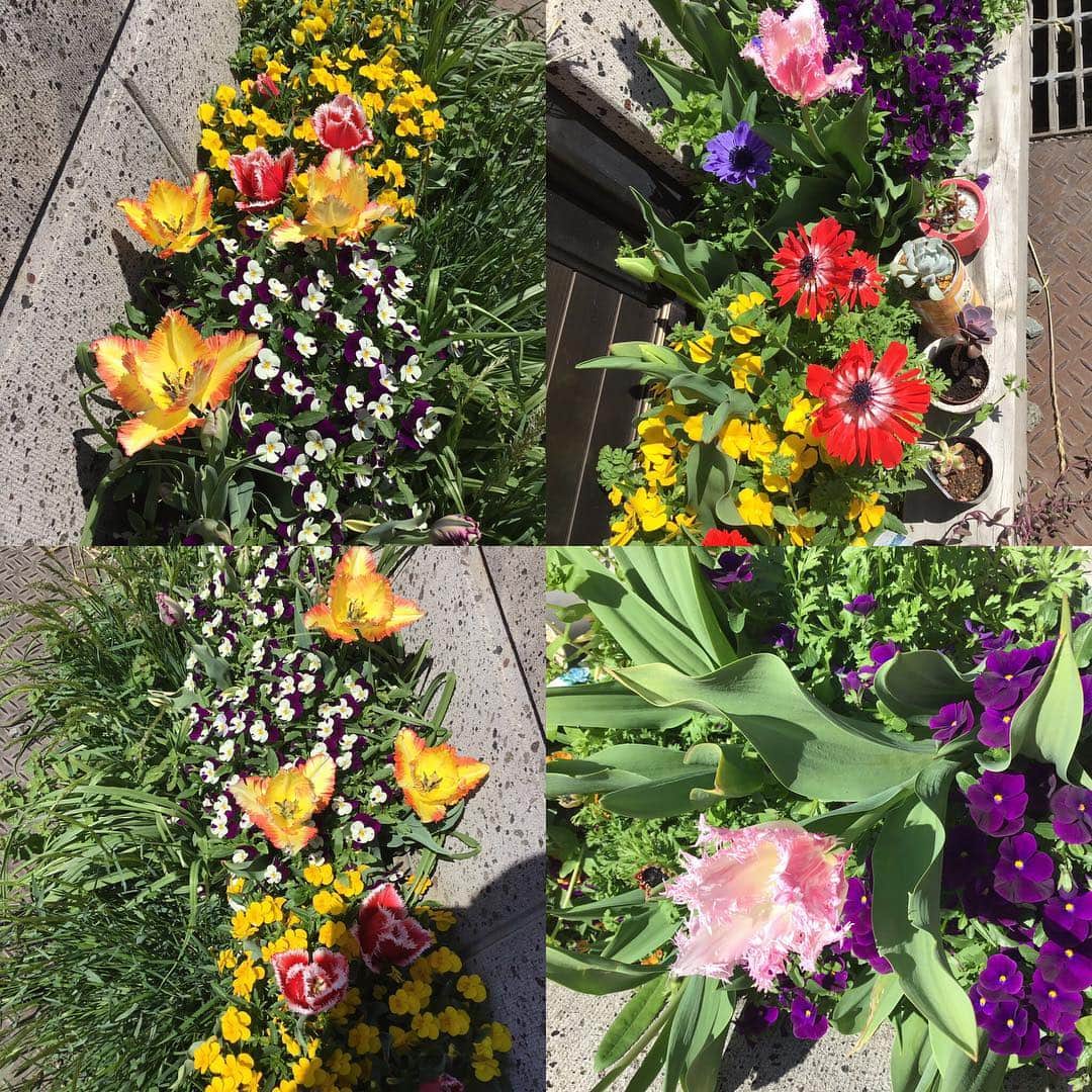 魔女菅原のグルメインスタ