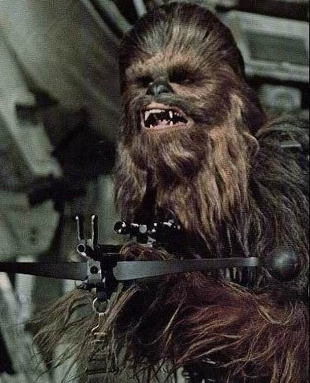 Alternative Pressさんのインスタグラム写真 - (Alternative PressInstagram)「We lost a legend today. RIP Peter Mayhew⁣ .⁣ .⁣ .⁣ #petermayhew #rip #restinpeace」5月3日 9時30分 - altpress