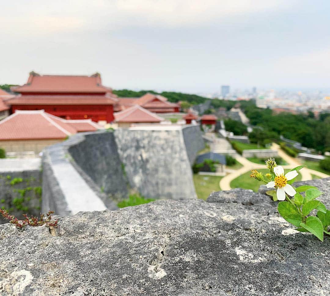 YOICHIのインスタグラム：「#首里城 #沖縄 #城 #shuri #castle #okinawa #goldenweek #gw」