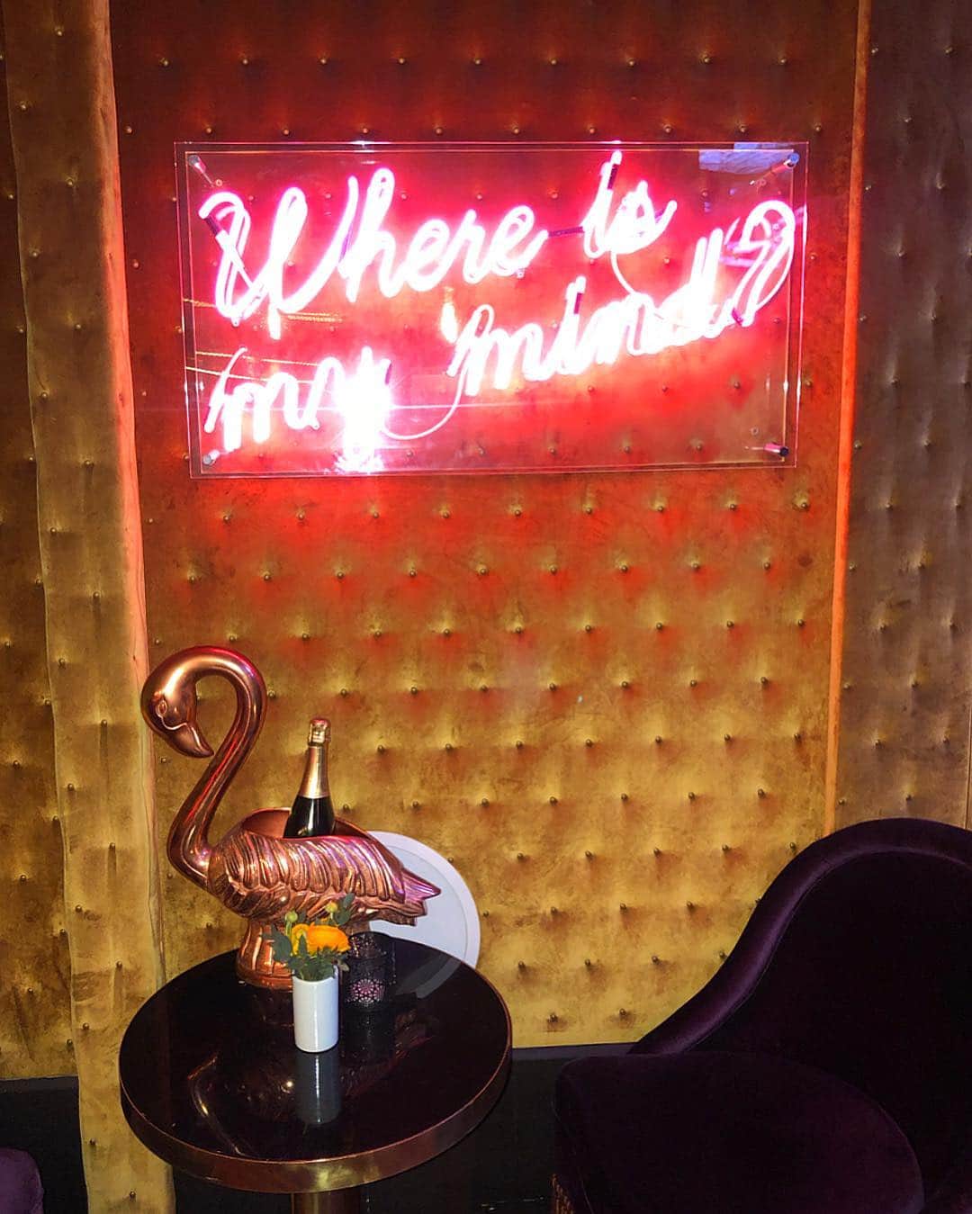MIKAさんのインスタグラム写真 - (MIKAInstagram)「Call me when you're ready 🥀 #neon」4月29日 13時38分 - cjd_mika
