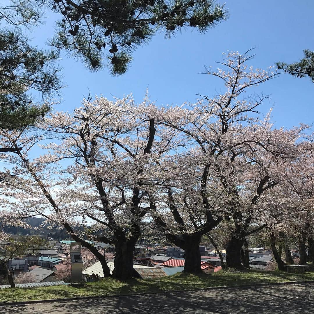 魔女菅原さんのインスタグラム写真 - (魔女菅原Instagram)「東和町にきました。 萬鐵五郎記念美術館の桜。  ひとりで桜の花びらの降りしきる中にいると有元利夫さんの絵の中にいる気に(思い込み至上主義！)。 #東和町 #桜 #魔女菅原」4月29日 13時46分 - hatsuyosugawara