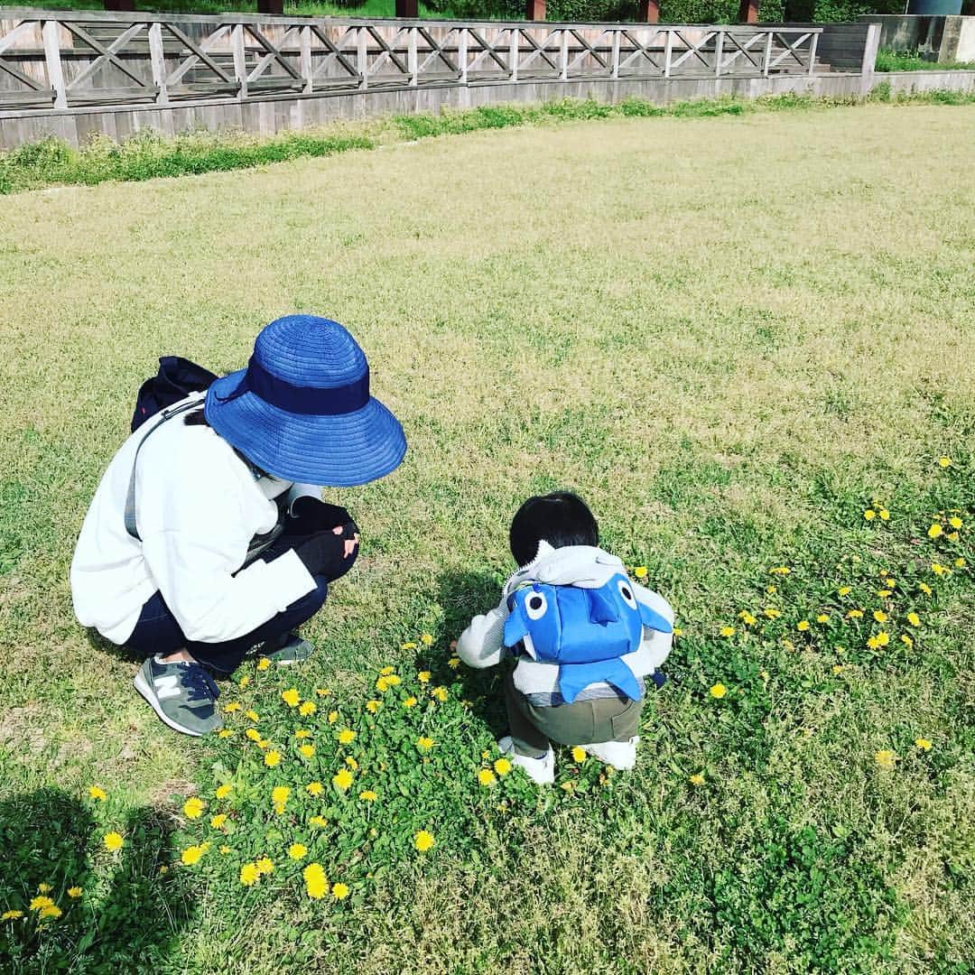 氷浦紫のインスタグラム