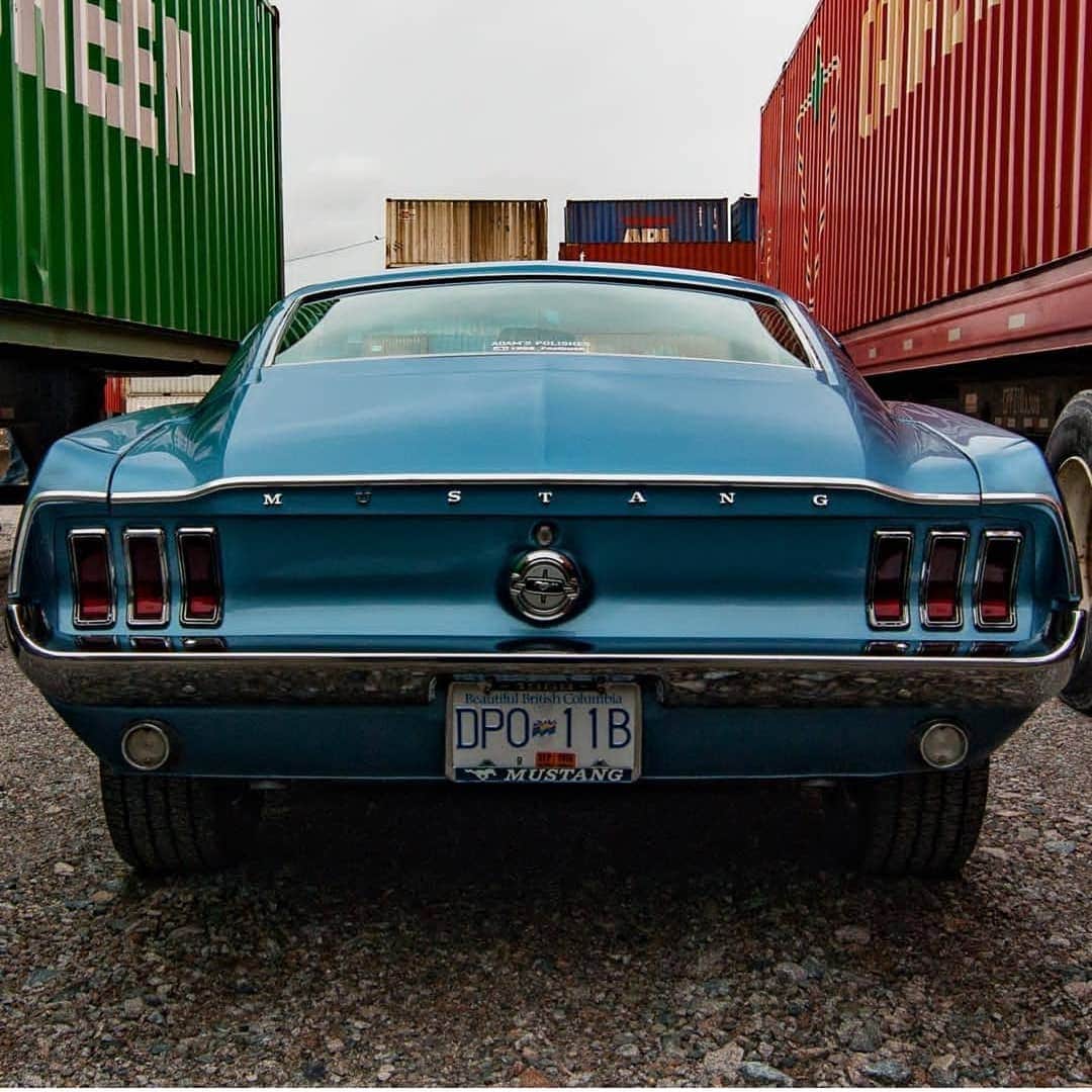 Classics Dailyさんのインスタグラム写真 - (Classics DailyInstagram)「1968 Mustang Fastback Owner: @1968_fastback _ #ford #mustang #fastback #americanmuscle #musclecar #classiccar #classicsdaily」4月29日 5時46分 - classicsdaily