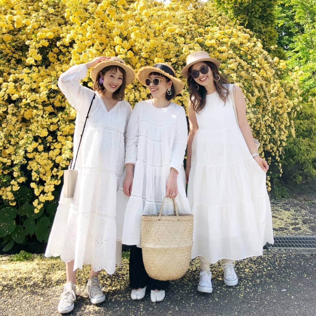 amigo.amigo.5205622のインスタグラム