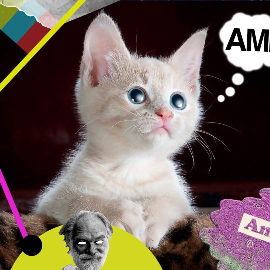 アンビギュアスのインスタグラム：「Ambig 2019⠀ #ambig #ambigclothing #ambiguousclothing #ambigskate #skateapparel #illassshit」