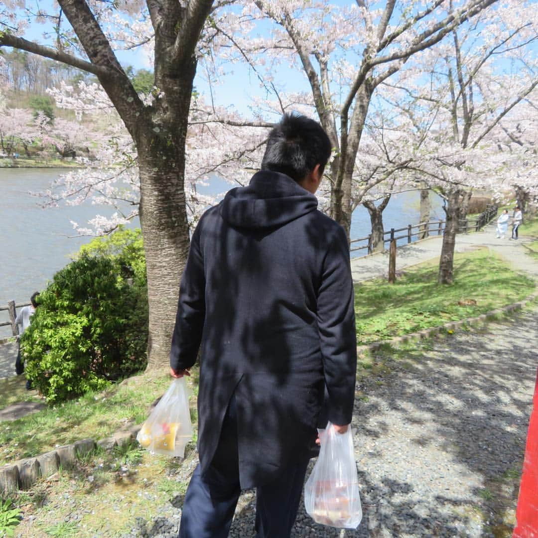 魔女菅原さんのインスタグラム写真 - (魔女菅原Instagram)「高松公園の桜(2019年4月28日)  満開を少し過ぎたけれど、満月に例えたら十六夜くらいの桜だった。  #高松公園の桜 #盛岡の桜の名所 #魔女菅原」4月29日 7時36分 - hatsuyosugawara