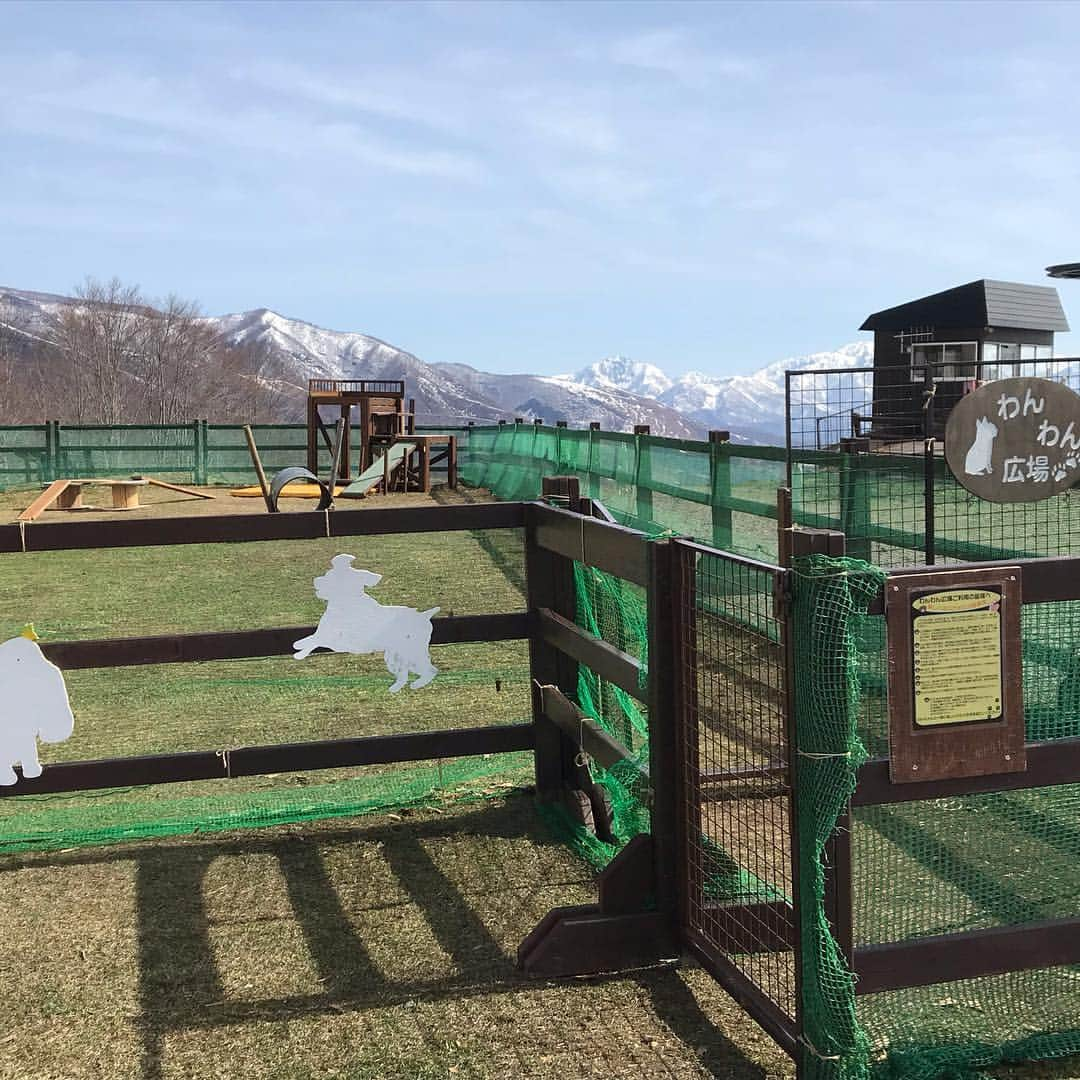 白馬岩岳スノーフィールドさんのインスタグラム写真 - (白馬岩岳スノーフィールドInstagram)「おはようございます🌞 今日は少し気温も上がりとても過ごしやすいです♪ さて今日も最高です✨✨✨ 絶景を目の前に現実逃避してみてはいかがですか？😊 ご来場お待ちしております❤️ #白馬岩岳マウンテンリゾート  #hakubamountainharbor  #thecitybakery  #白馬三山  #絶景 #現実逃避 #残雪」4月29日 8時48分 - hakuba_iwatake