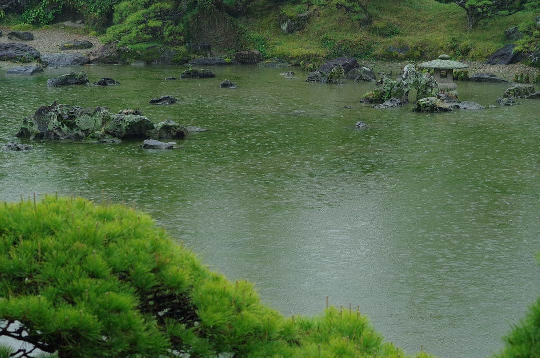 柳川藩主立花邸御花 | Yanagawa Ohanaさんのインスタグラム写真 - (柳川藩主立花邸御花 | Yanagawa OhanaInstagram)「☔️ ・ GW最初の月曜日は雨。 ・ 雨に打たれる大広間の瓦や松涛園の松の木もまた趣きがあります。 御花の癒しスポット。 ・ ゴールデンウィークも無休で営業しております^_^ ご予定がまだの方は是非お越しください。 ・ ・ #柳川藩主立花邸御花#御花 #国指定名勝#福岡#柳川 #観光スポット#大広間 #松涛園#日本庭園 #歴史的建造物 #癒しスポット#癒し #yanagawa#fukuoka #ohana#ゴールデンウィーク旅行#ゴールデンウィークスタート」4月29日 9時37分 - tachibanateiohana