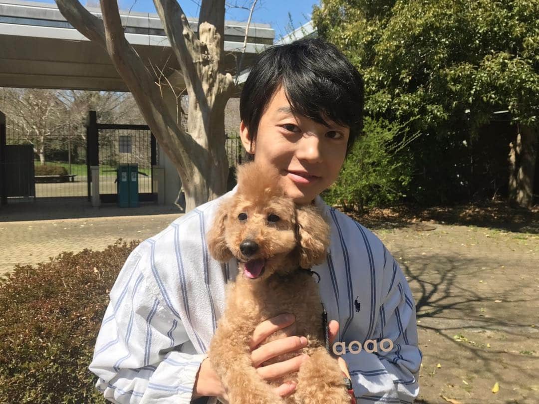 伊藤健太郎のインスタグラム：「伊藤健太郎が伊藤レオくんと出演する『もふもふモフモフ 平成最後スペシャル』(NHK)は、本日29日(月･祝) 18:05から放送です。 レオくんもテレビでオンエアを観るそうですよ！ ぜひご覧下さい！！ . https://www6.nhk.or.jp/nhkpr/post/original.html?i=18502&cdi=bk-tw . @aoao_tt_  #aoao  #伊藤健太郎  #もふもふモフモフ  #堤真一 さん #愛犬  #NHK健太郎ウィーク」