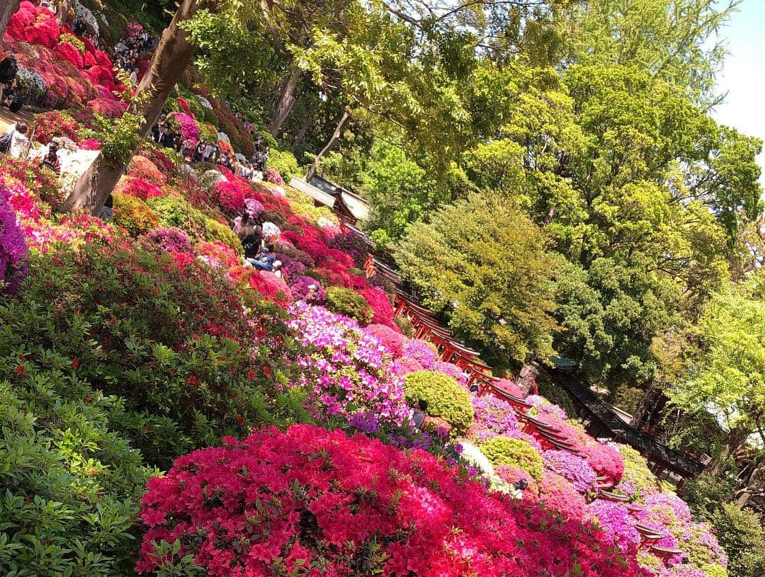 時東ぁみさんのインスタグラム写真 - (時東ぁみInstagram)「つつじまつりへ🌷 ・ お花が大好きなママと！ お花を見ると心が豊かになるね🌷 ・ 動画も載せたのでswipeしてね👉 ・ #時東ぁみ #つつじまつり #根津神社 #つつじ #鳥居 #⛩ #綺麗 #お花 #心豊か #ママ #動画 #🌷」4月29日 10時08分 - amitokito