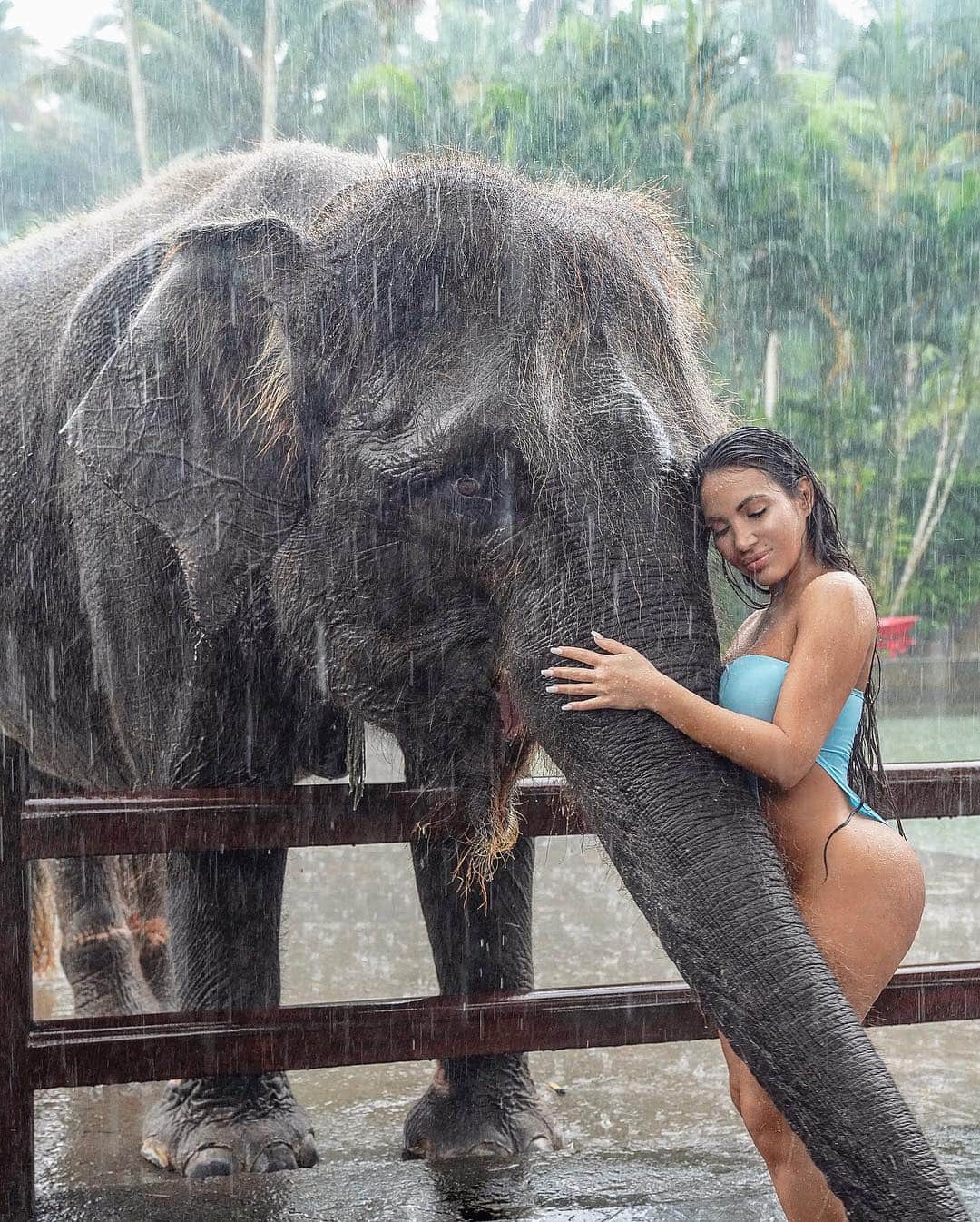 Aylen Aのインスタグラム：「Bonding with this beauty before taking her for a swim 🐘 Swipe to see us swimming in the rain 🌧」
