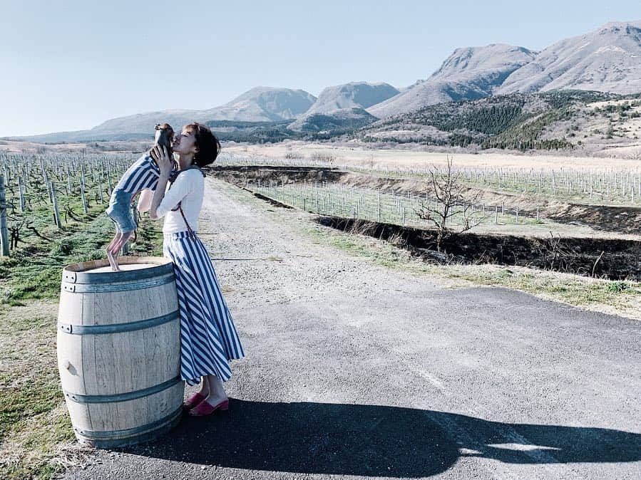 簑島宏美のグルメインスタ