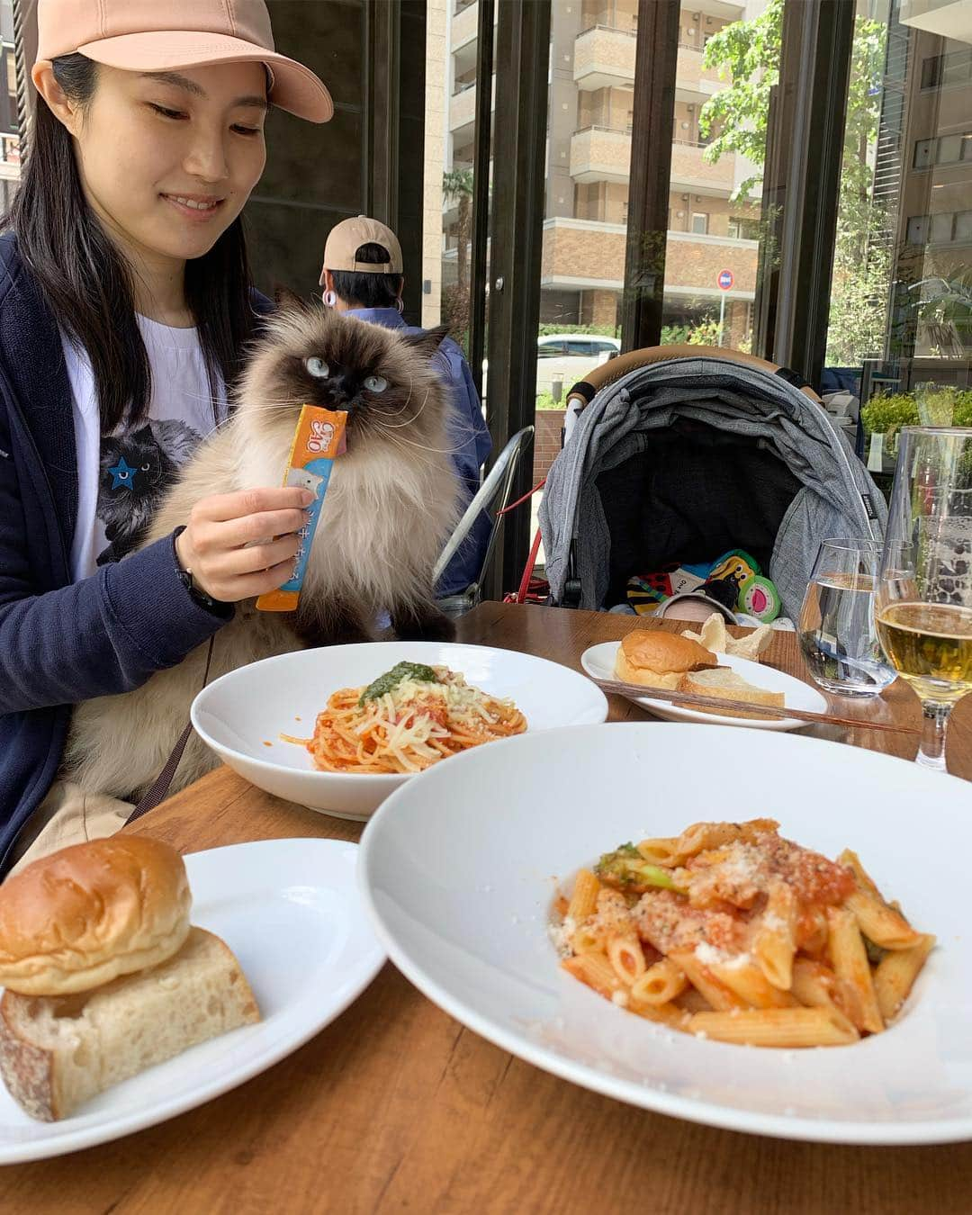 plumeさんのインスタグラム写真 - (plumeInstagram)「いつものお店で4人でランチもしたよ👨‍👩‍👧‍👧🥖🍝🍺🌿 . ぷんもうすっかり常連さん💁🏻‍♀️場所も道も覚えてるんだよ🙊👏✨ . . . . . . . . . #プリュムのいる生活 #猫のいる暮らし  #ヒマラヤン  #赤ちゃんと猫  #ふわもこ部  #ヒマラニャンズ  #猫  #ねこ #🐈 #お散歩 #ランチ #家族 #ボンネット #ママタス#organiczoo  #고양이  #kucing  #Кот  #ilovecats  #sealpoint  #beautifulcat  #himalayancat  #catsofinstagram #catloversclub  #bestmeow  #bestcats_oftheworld  #weeklyfluff  #bestanimal #cutepetclub #grumpycat」4月29日 11時21分 - plumestagram