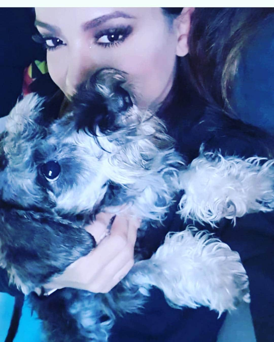 Roberta Mirandaさんのインスタグラム写真 - (Roberta MirandaInstagram)「@anitta perdeu seu Cachorrinho.sinto muito querida! Eles são filhinhos amorosos sim. Eles 🐾🐾são bálsamo para nossa alma. Imagino a dor q vc sentiu . Terrível」4月29日 11時35分 - robertamiranda