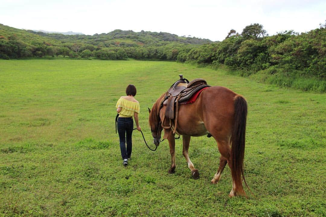 工藤遥さんのインスタグラム写真 - (工藤遥Instagram)「☺︎ 🐴🐴🐴🐴 可愛かったな〜〜〜 #ハル本#Hawaii」4月29日 11時44分 - haruka_kudo.official