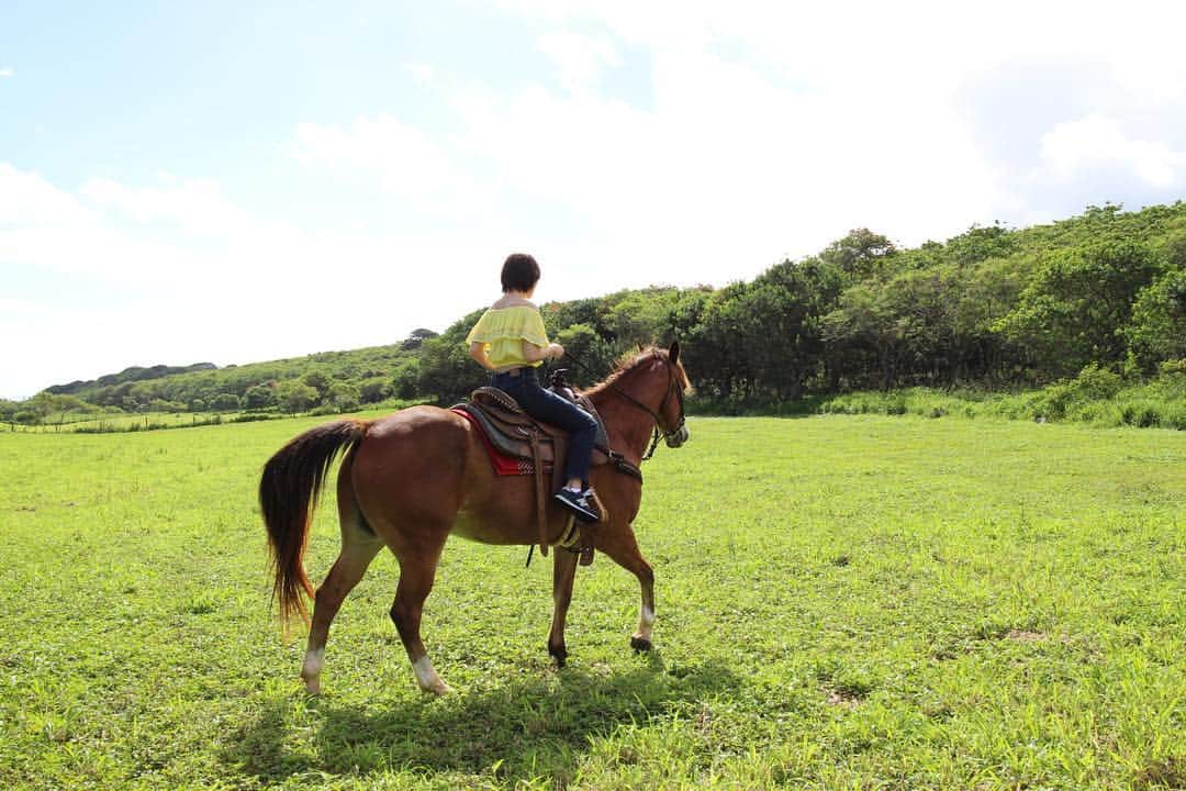 工藤遥さんのインスタグラム写真 - (工藤遥Instagram)「☺︎ 🐴🐴🐴🐴 可愛かったな〜〜〜 #ハル本#Hawaii」4月29日 11時44分 - haruka_kudo.official