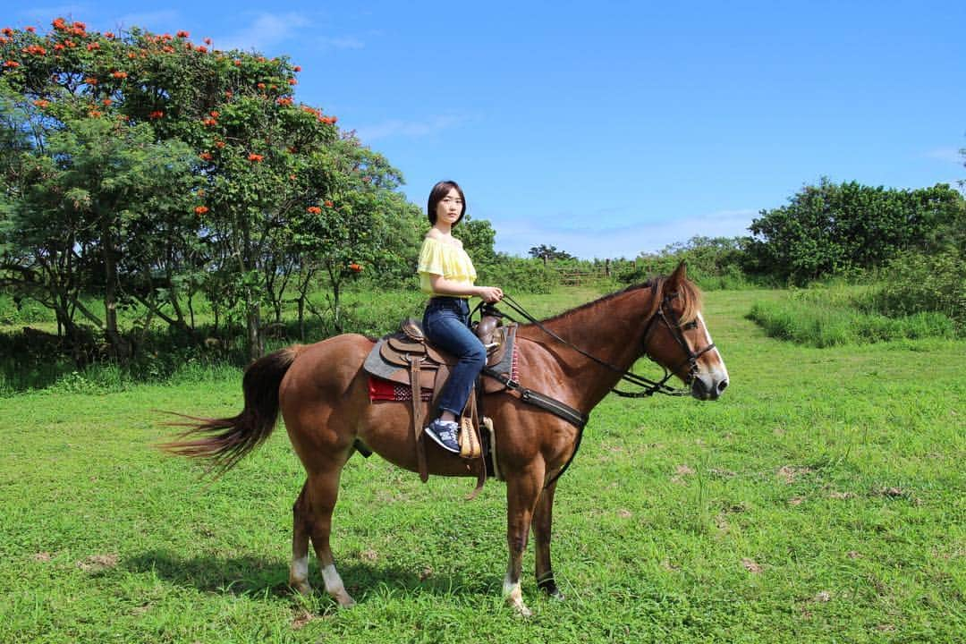 工藤遥さんのインスタグラム写真 - (工藤遥Instagram)「☺︎ 🐴🐴🐴🐴 可愛かったな〜〜〜 #ハル本#Hawaii」4月29日 11時44分 - haruka_kudo.official