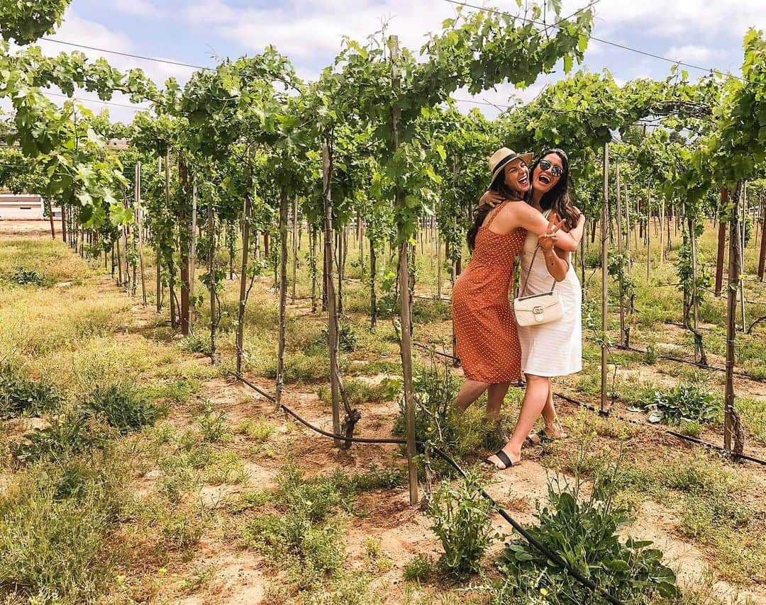 テトリ・ディクソンのインスタグラム：「PSA: I have the best friends out there. Traveling all the way to wine country to make mama feel like a KWWEEN. Bachelorette party was a success! ❤️ #wigsout #joshlovesdix」