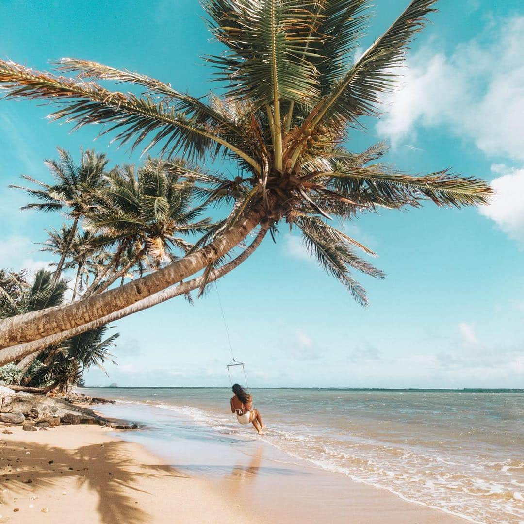 ハワイアン航空さんのインスタグラム写真 - (ハワイアン航空Instagram)「手つかずの自然が織り成す絶景が楽しめる、 #モロカイ島 💚 #フレンドリーアイランド と呼ばれる理由がわかります。近隣の島から日帰り旅行で#アイランドホッピング ができる比較的訪れやすい島です。 詳しくは#アイランドガイド をチェック🌴 📍: #モロカイ島 📷: @Elanaloo」4月29日 12時04分 - hawaiianairlinesjp