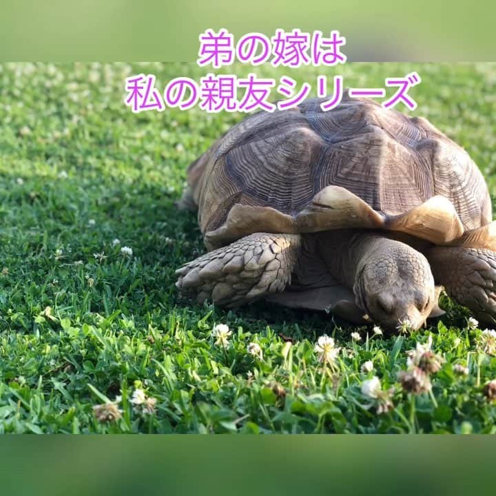 仲宗根泉のインスタグラム