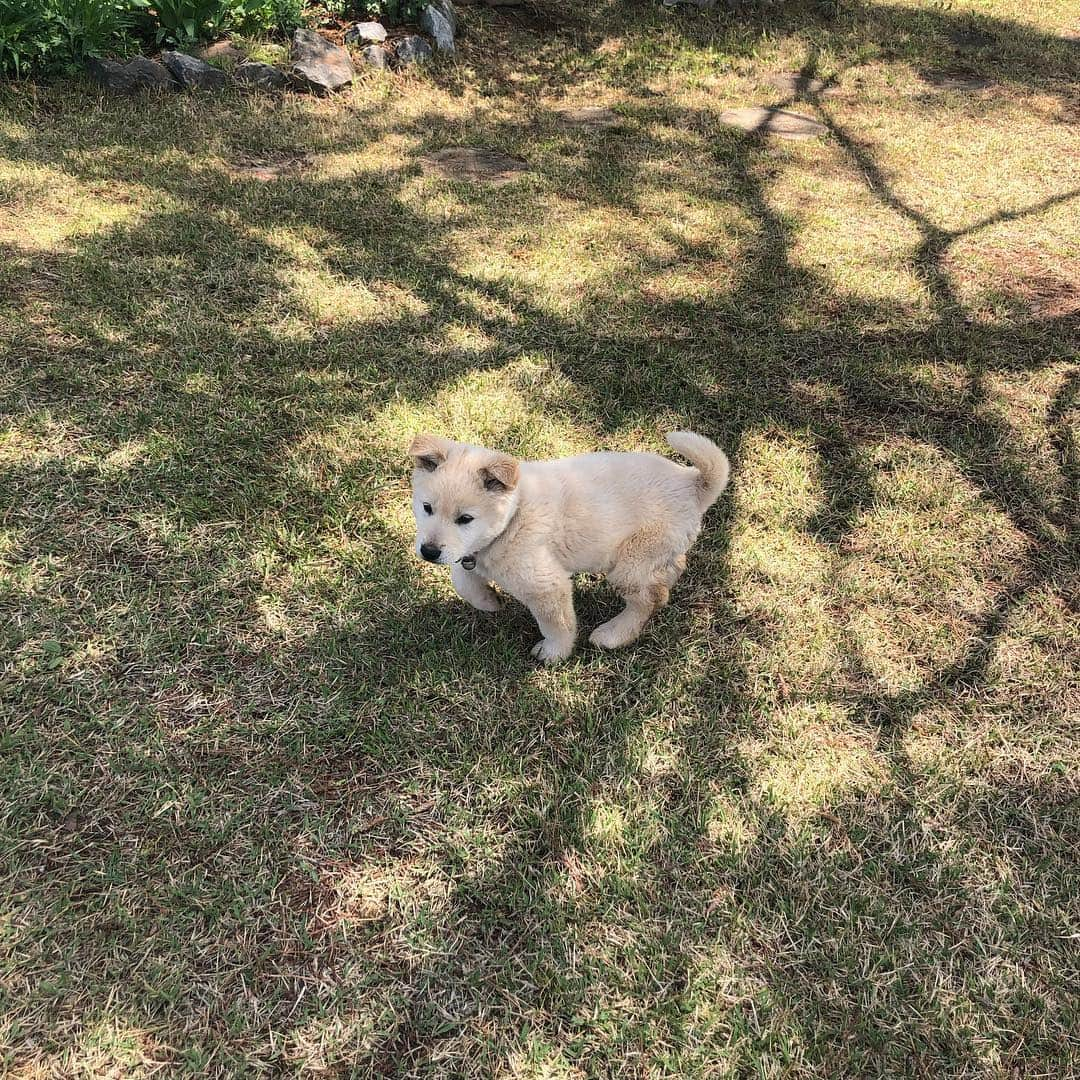 シン・ジェハさんのインスタグラム写真 - (シン・ジェハInstagram)「몽실몽실」4月29日 12時22分 - shin_jae_ha